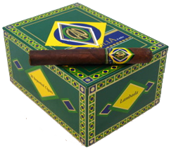 CAO%20BRAZILIA%20LAMBADA